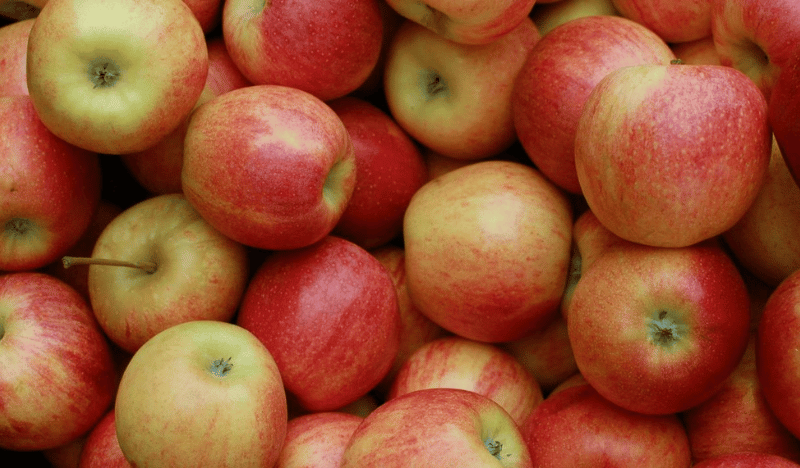 Apple Day at Stonebridge City Farm